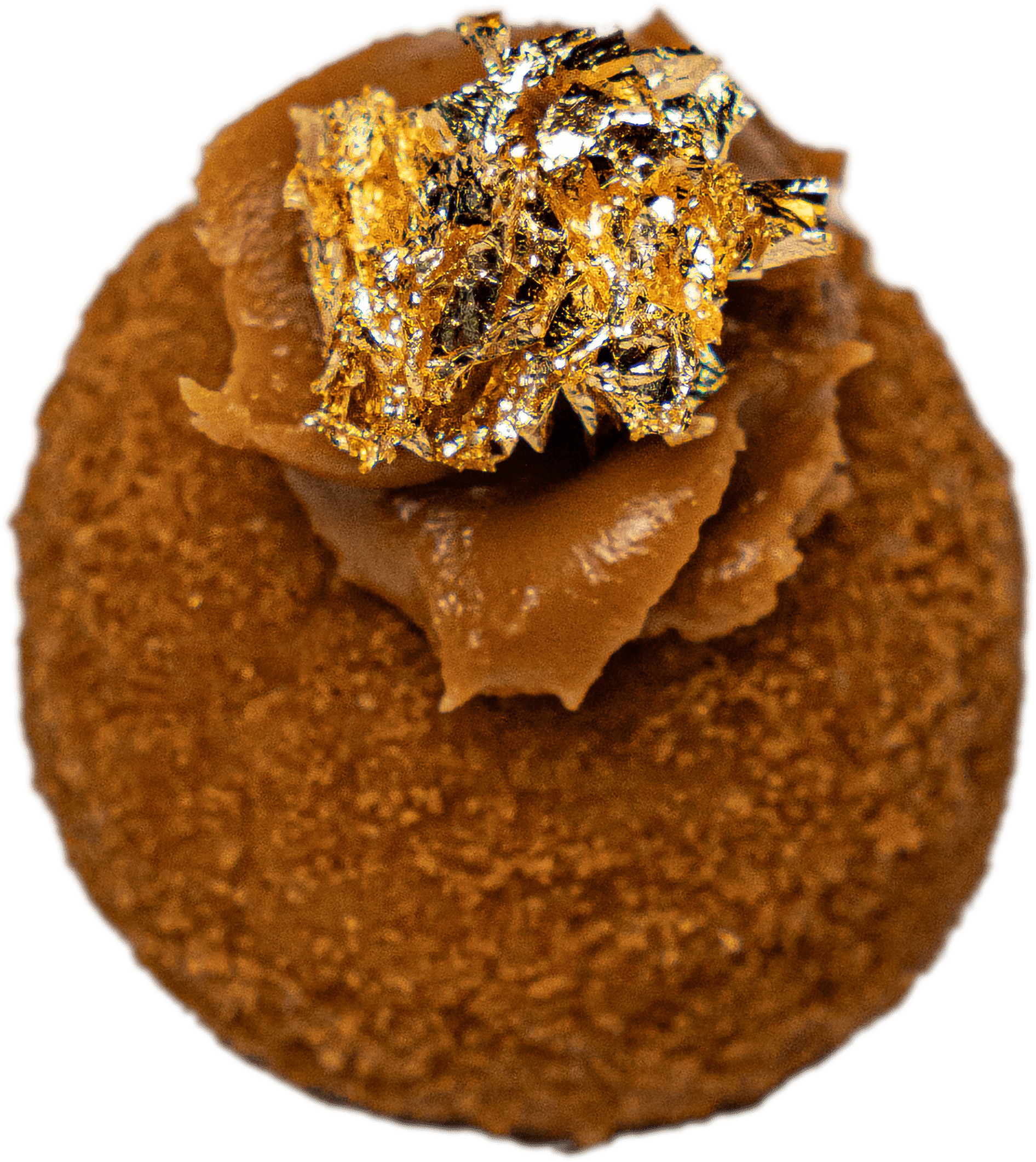 Lotus Biscoff